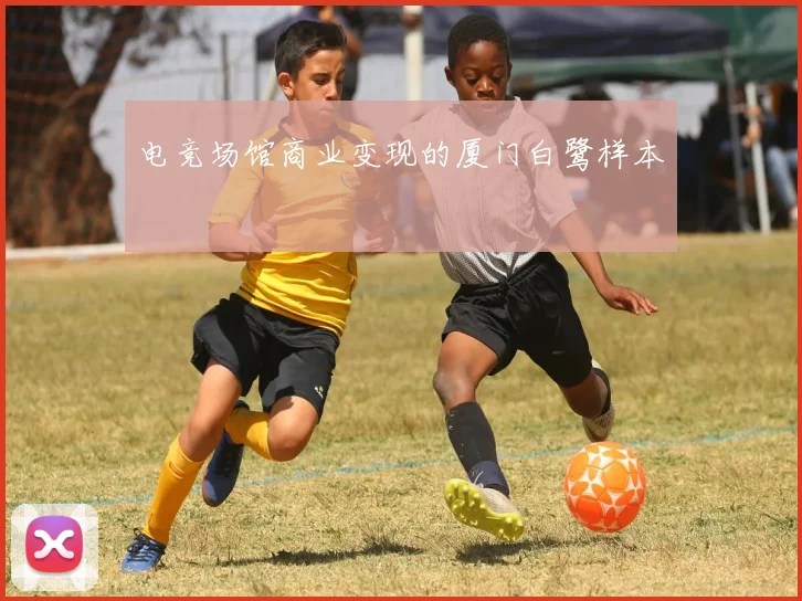 电竞场馆商业变现的厦门白鹭样本