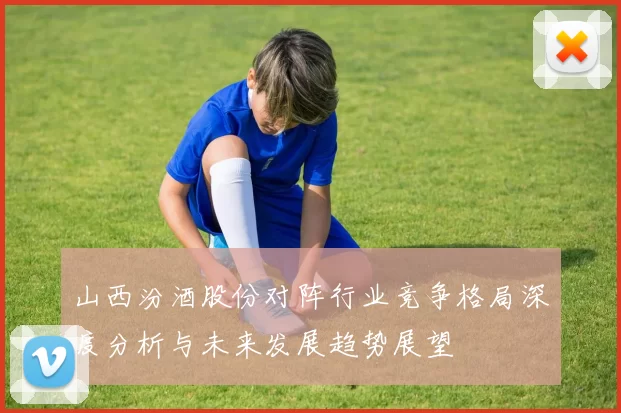 山西汾酒股份对阵行业竞争格局深度分析与未来发展趋势展望