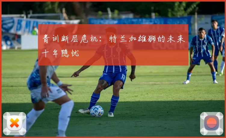 青训断层危机：特兰加雄狮的未来十年隐忧