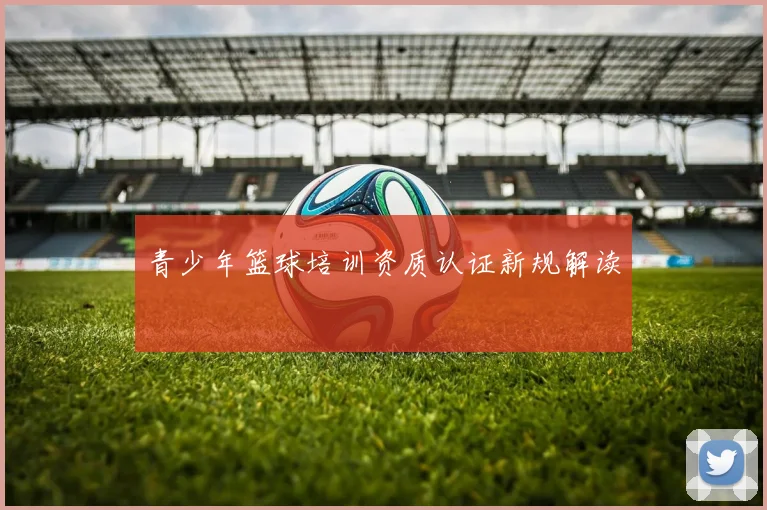 青少年篮球培训资质认证新规解读